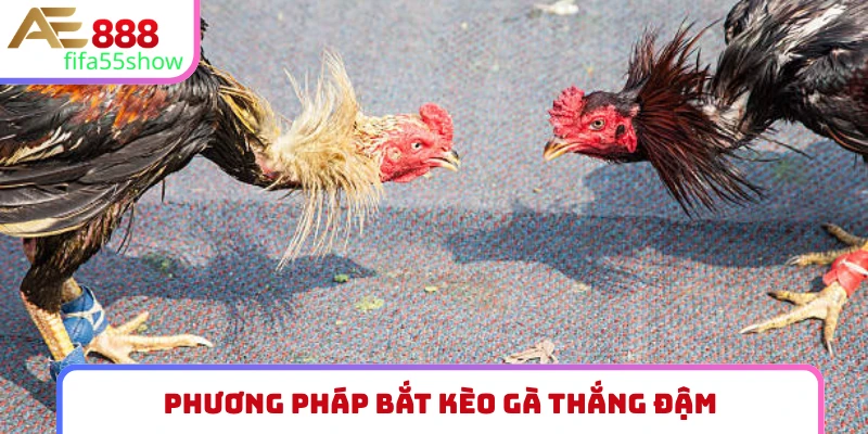 Phương pháp bắt kèo gà thắng đậm