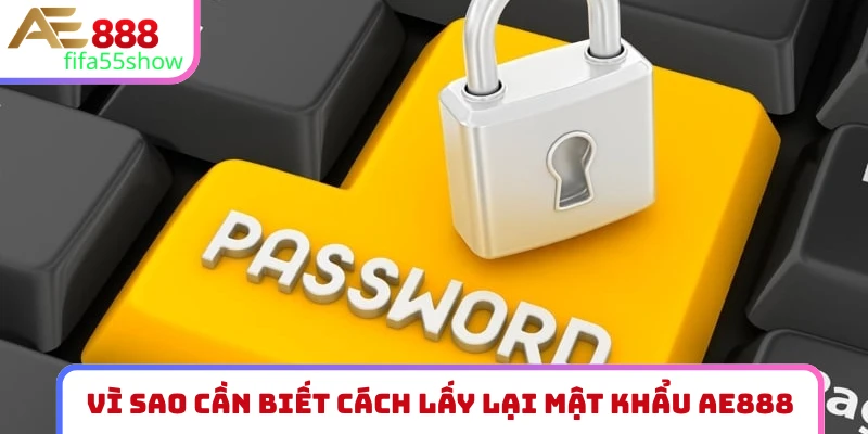 Vì sao cần biết cách lấy lại mật khẩu AE888?