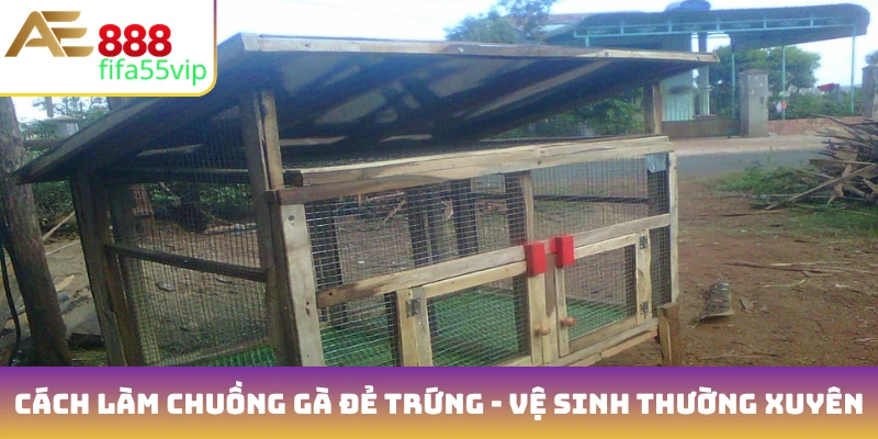Cách làm chuồng gà đẻ trứng - Vệ sinh thường xuyên