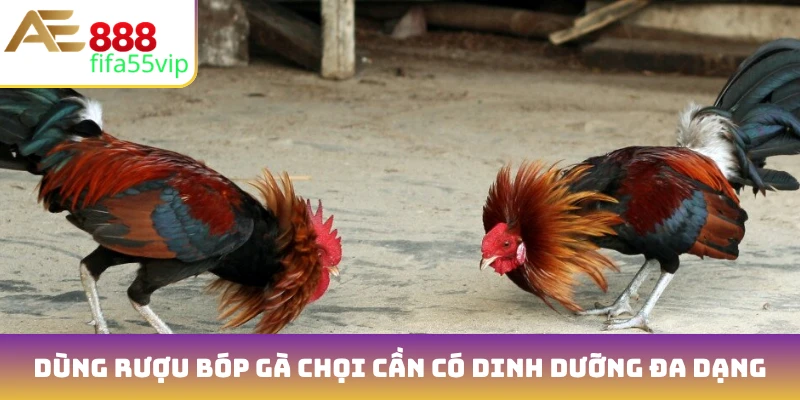 Dùng rượu bóp gà chọi cần có chế độ dinh dưỡng đa dạng