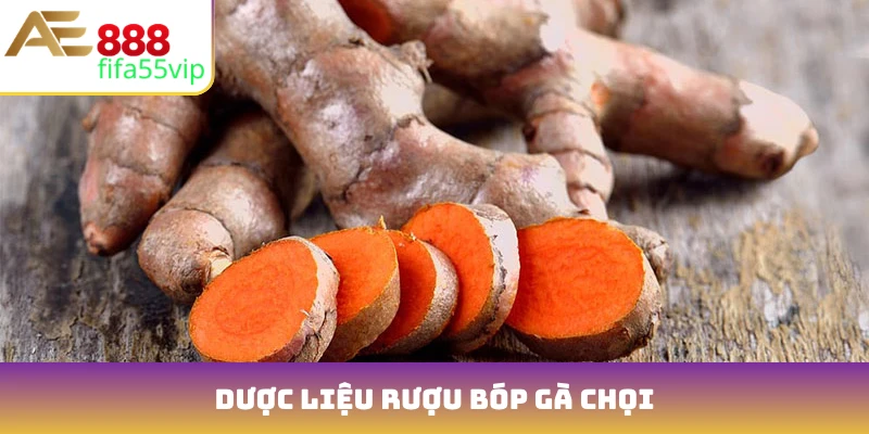 Dược liệu rượu bóp gà chọi