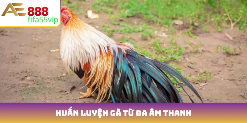 Huấn luyện gà từ đa âm thanh