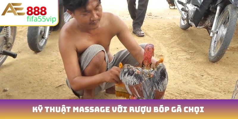Kỹ thuật massage với rượu bóp gà chọi