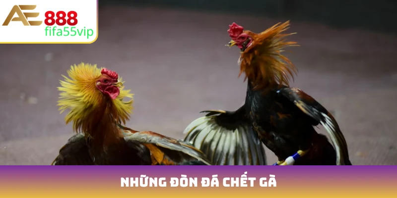 những đòn đá chết gà