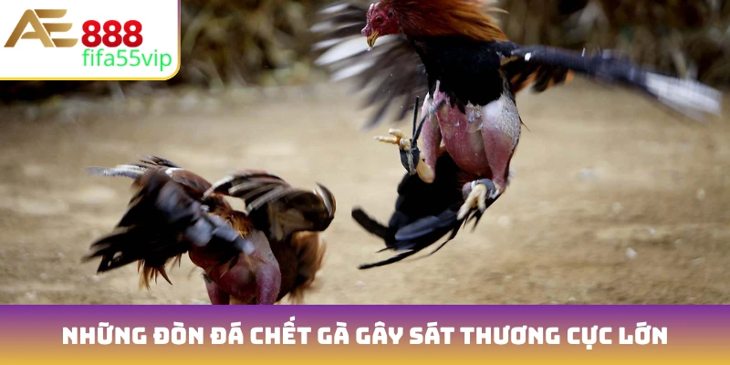Những đòn đá chết gà gây sát thương cực lớn