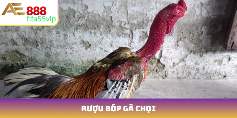rượu bóp gà chọi